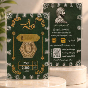 سکه پارسیان ۳۰۰ سوتی